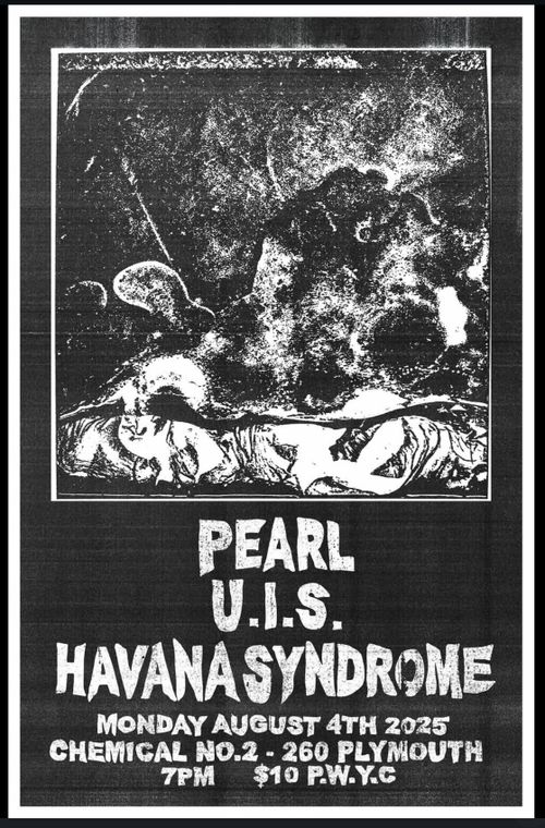 Pearl, U.I.S., Havana Syndrome