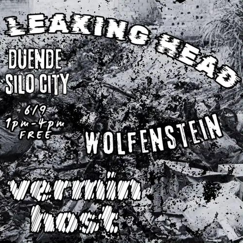 Leaking Head, K-Hole, Vermin Host, Coma Ghost